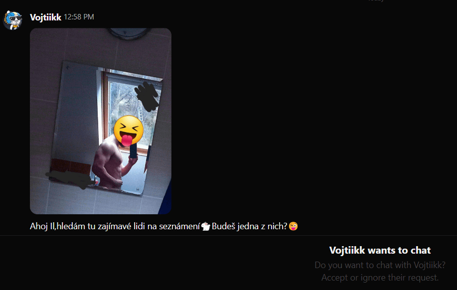 Also ich habe zum ersten Mal eine Nachricht wie diese auf Reddit erhalten.  Möchte jemand Vojtík kennenlernen?  Welchen Sinn hat es, zufälligen Leuten solche Dinge zu schicken?  Allerdings sind 95 % davon Männer.