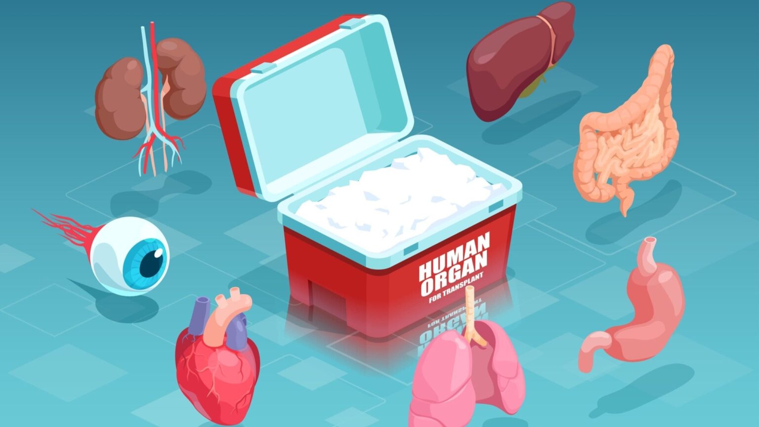 Biotech-Startup treibt die Kryokonservierung von Transplantationsorganen und Zelllinien für die Zellherstellung mit der FDA-Auszeichnung „Breakthrough“ voran und plant klinische Studien