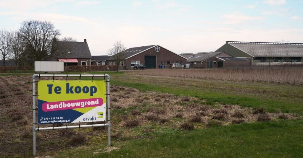 Die Grundsteuer ist das Ei von Columbus für den Immobilienmarkt