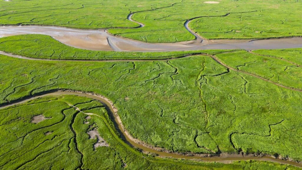 UNESCO verleiht dem Scheldedelta den Status eines Weltkulturerbes: „Besondere Entstehungsgeschichte“