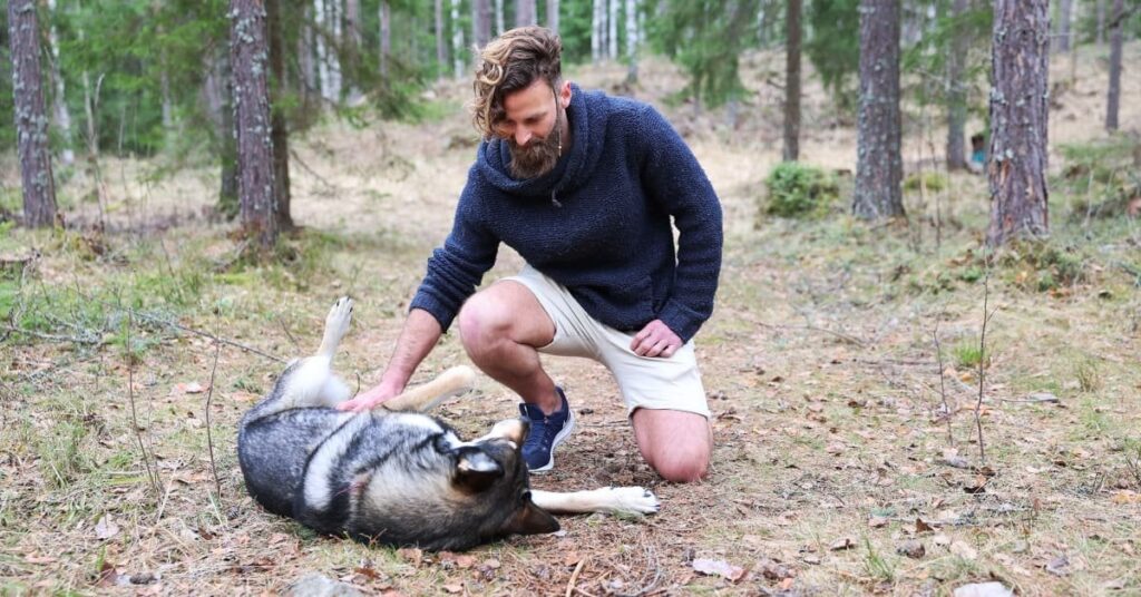 Finnlands „meistgehasster Hundebesitzer“ muss mit Geldstrafen rechnen |  Yle-Neuigkeiten