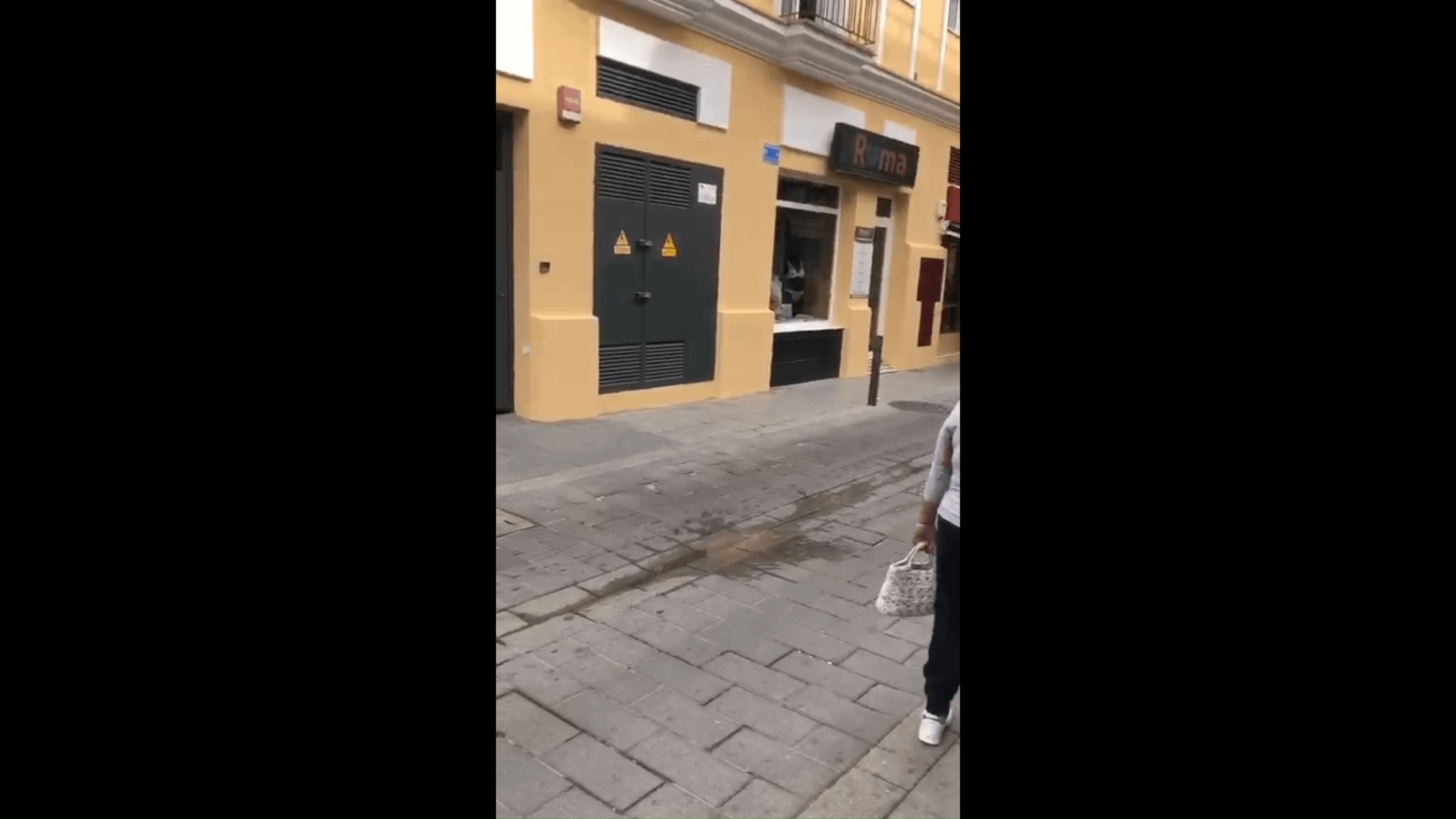 Sie rauben am helllichten Tag ein Juweliergeschäft aus und werden von Bürgern festgenommen. [Spain]