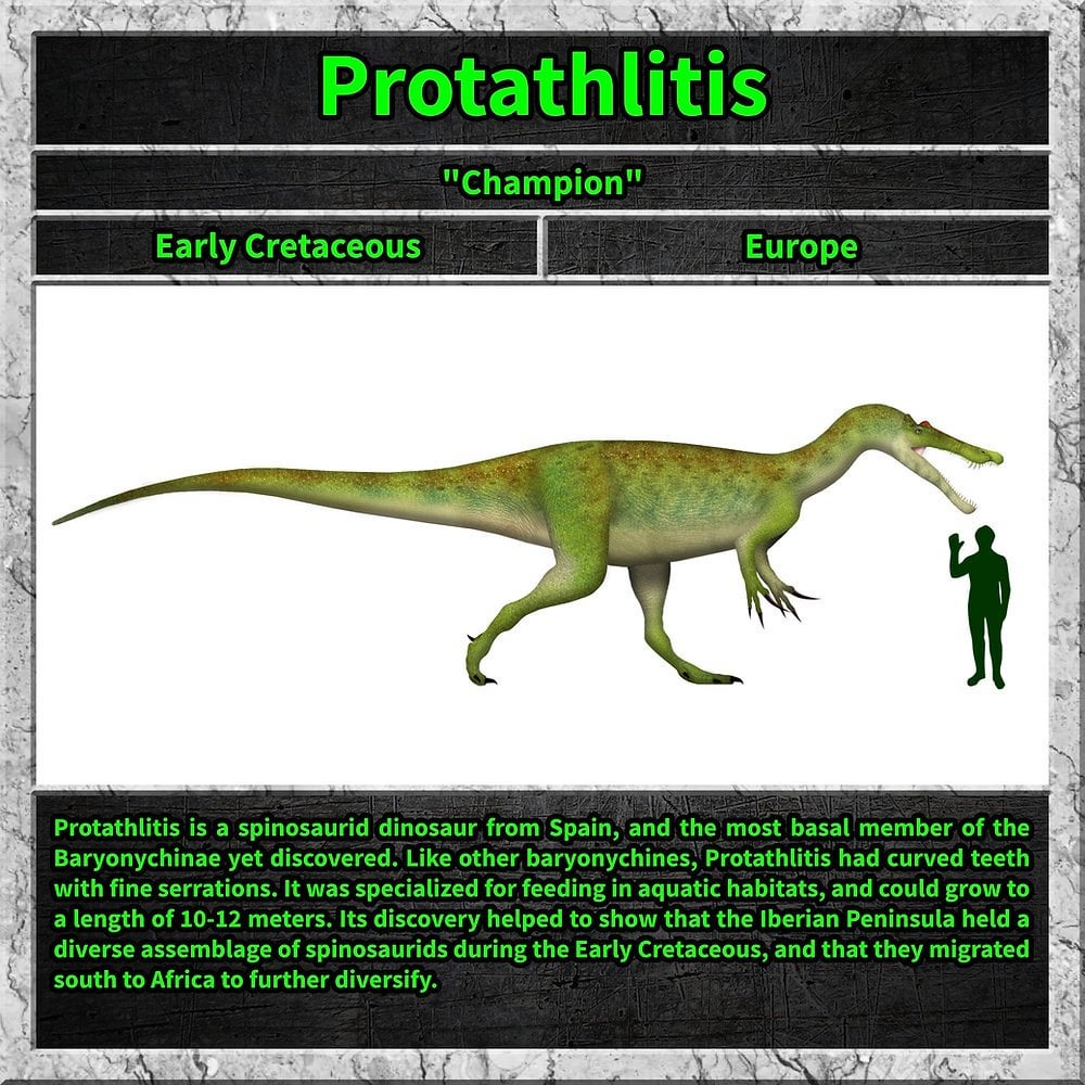 Protathlitis - Dinosaurier aus Spanien