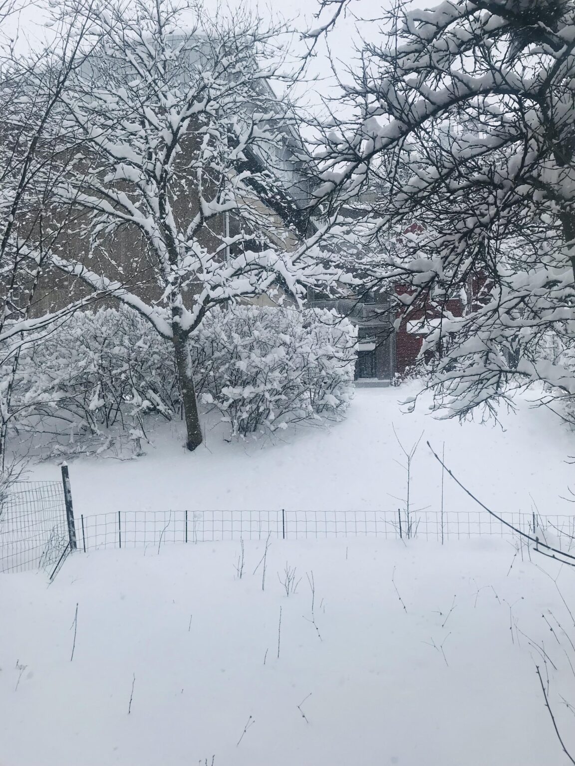 Frühling