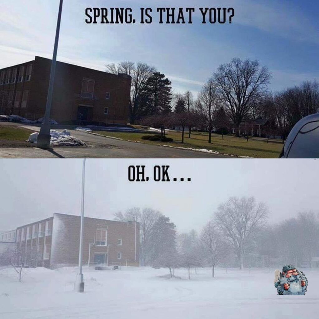 Frühling ❌ Sprinter ✅