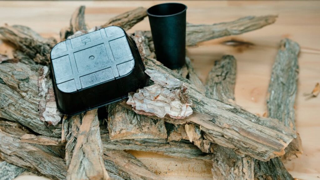 Wie das Kreislaufwirtschafts-Startup Bpacks Rinde nutzt, um Plastikmüll zu reduzieren