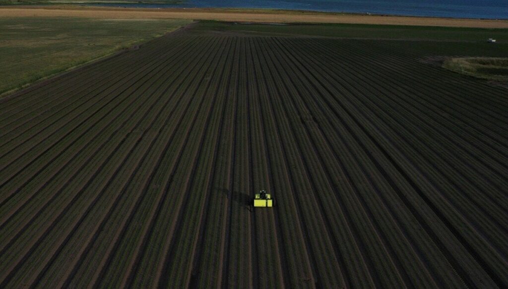 Der Landwirtschaftsroboter kann zwischen Unkraut und anderen Pflanzen unterscheiden und besprüht nur das Unkraut mit Herbiziden