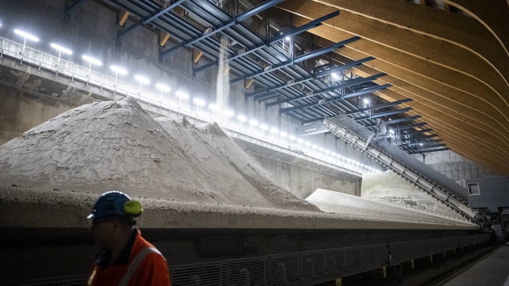 Jetten denkt trotz Kritik über Subventionen für umstrittene Biomassekraftwerke nach |  Klima