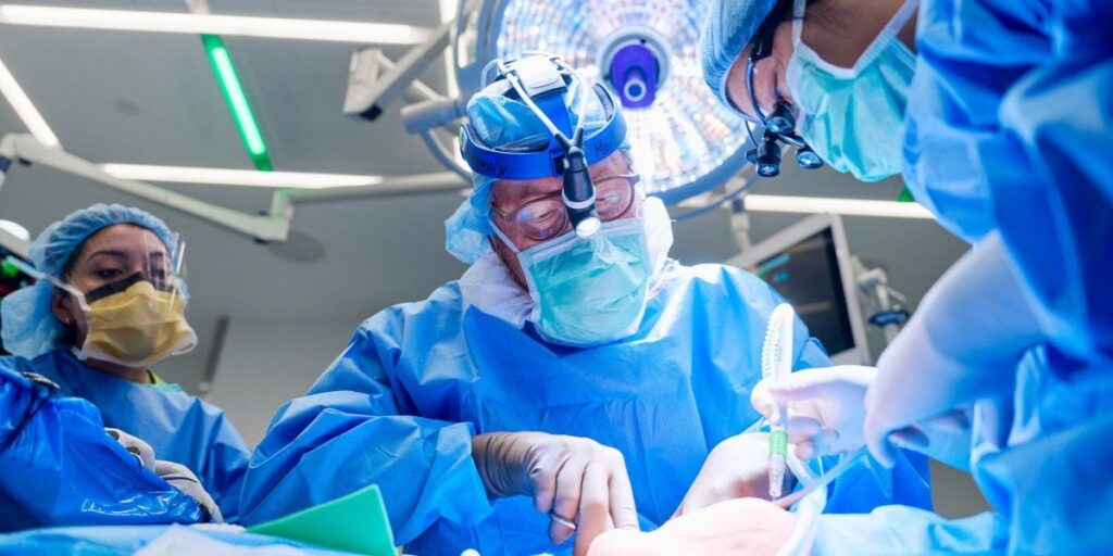 Eine neue Art gentechnisch veränderter Schweineniere wurde gerade einem Menschen transplantiert