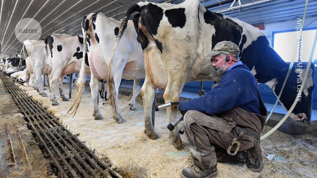 Sollte die Welt die Entwicklung von kultiviertem Fleisch beschleunigen, um uns vor weitaus schlimmeren Pandemien als COVID-19 zu bewahren? Eine „Beinahe-Unfall“-Katastrophe mit der Vogelgrippe H5N1 und amerikanischer Milch legt nahe, dass die Antwort „Ja“ lauten könnte. Sollte die Welt die Entwicklung von kultiviertem Fleisch beschleunigen, um uns vor weitaus schlimmeren Pandemien als COVID-19 zu bewahren? Eine „Beinahe-Unfall“-Katastrophe mit der Vogelgrippe H5N1 und amerikanischer Milch legt nahe, dass die Antwort „Ja“ lauten könnte.