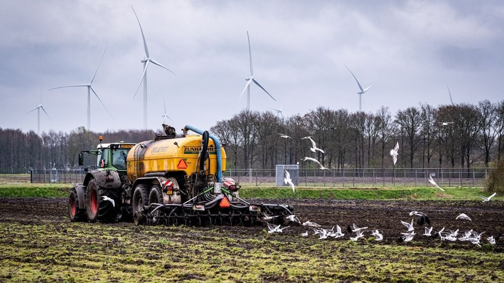 Landwirteorganisationen entwickeln ihren eigenen „Krisenplan“ für Gülleprobleme