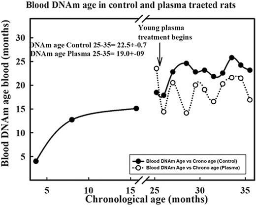 Junges Plasma verjüngt das DNA-Methylierungsprofil im Blut, verlängert die mittlere Lebensdauer und verbessert das körperliche Erscheinungsbild alter Ratten