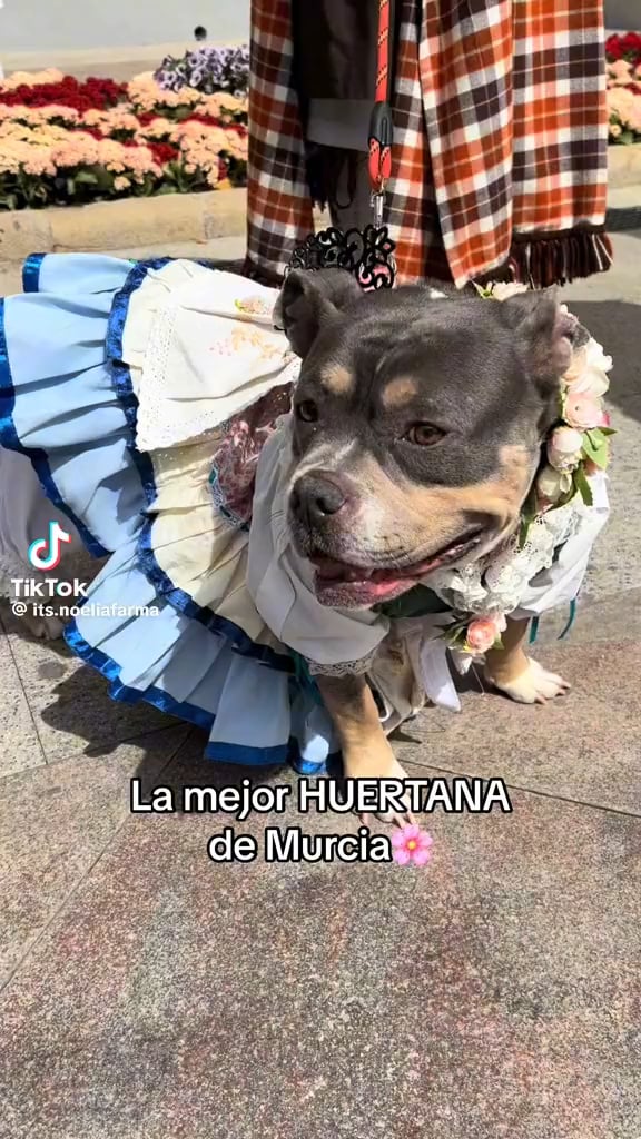Murcianica