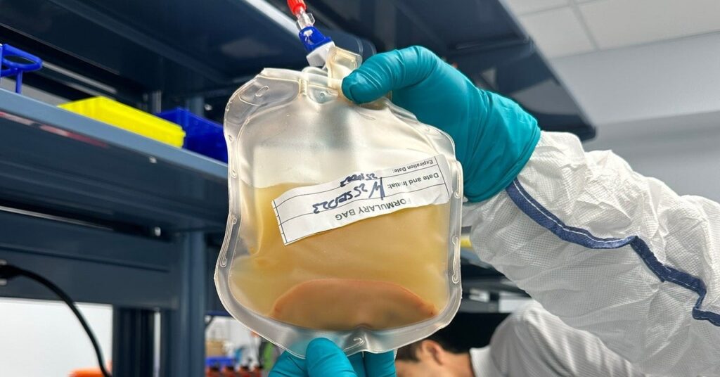 Dieser Zellbeutel könnte im Menschen neue Lebern hervorbringen