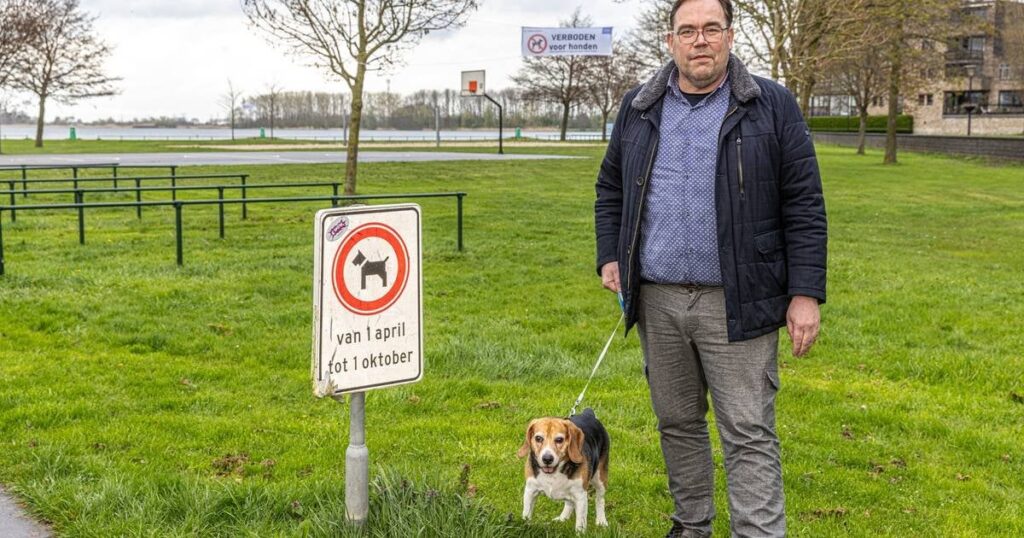Besitzer sind mit „grellen“ Bannern an einem See in Zwolle unzufrieden: „Wir sind keine Kleinkinder!“