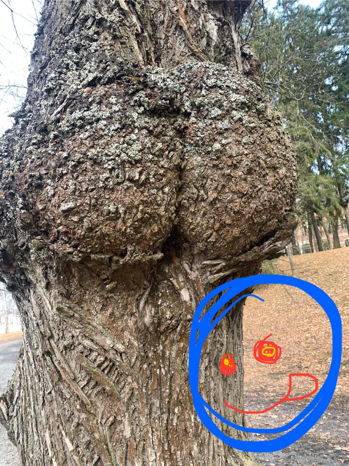 Dieser Frühling!