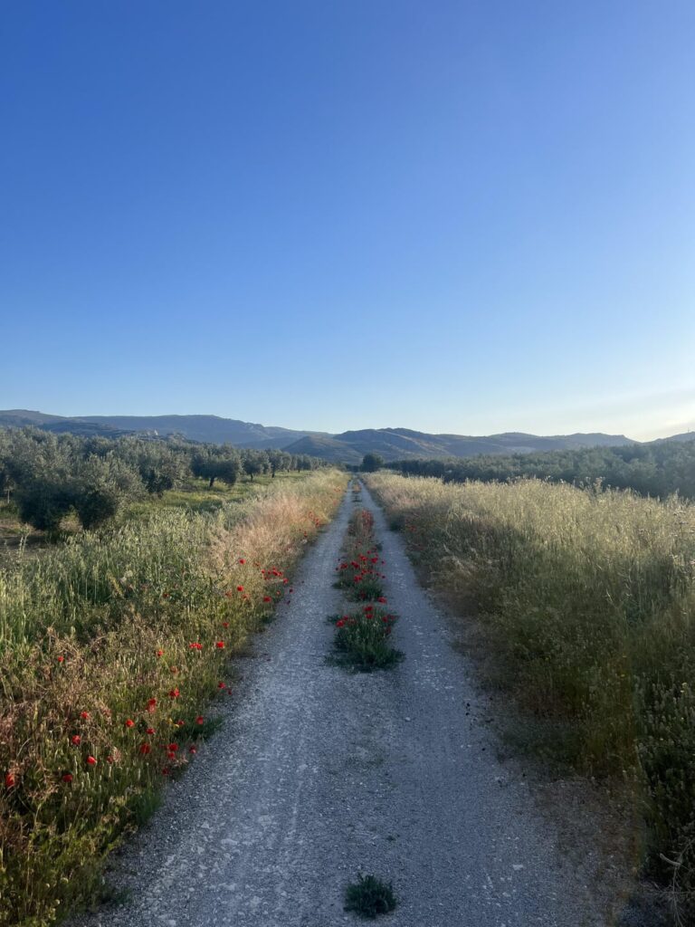 Von meiner letzten Radtour in Jaén