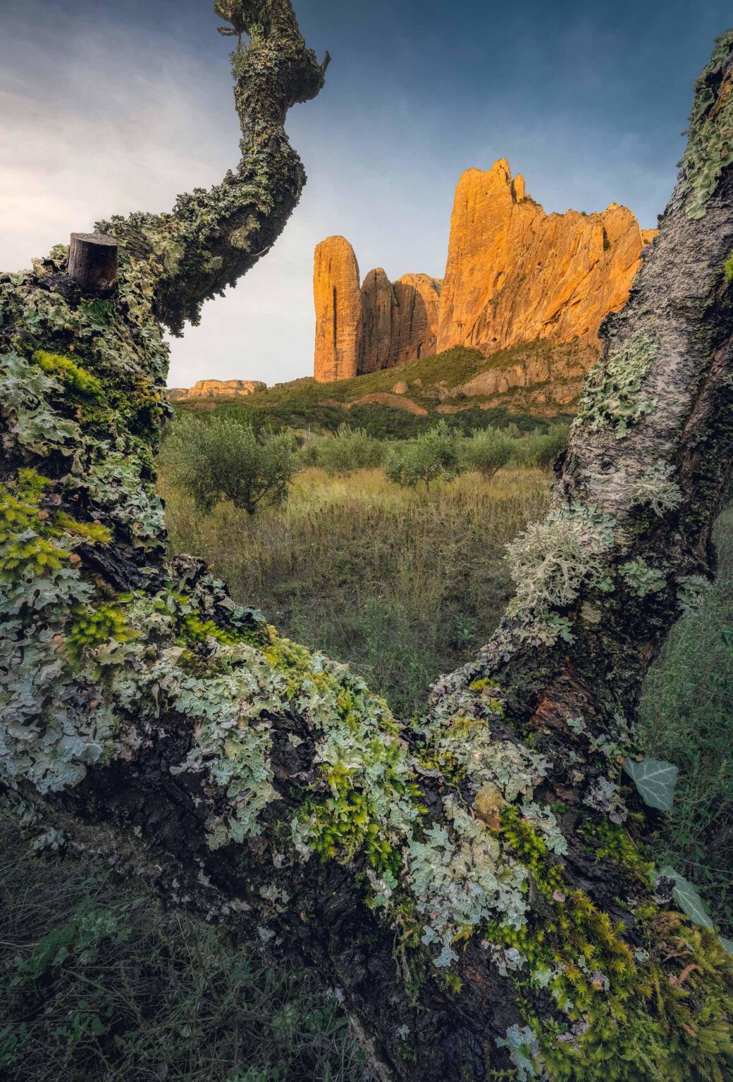 Mallos de Riglos in Aragonien [OC]