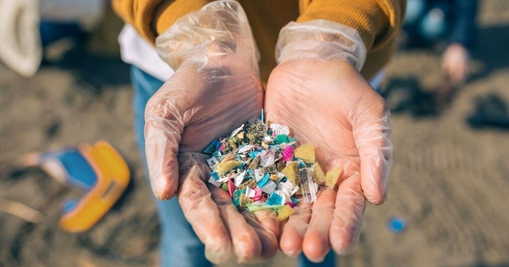 Mikroplastik kann nach der Einnahme in das Gehirn und andere lebenswichtige Organe gelangen, wie eine neue Studie zeigt Mikroplastik kann nach der Einnahme in das Gehirn und andere lebenswichtige Organe gelangen, wie eine neue Studie zeigt