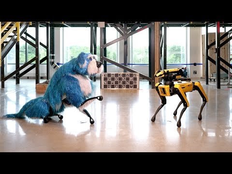 Lernen Sie Sparkles kennen |  Boston Dynamics