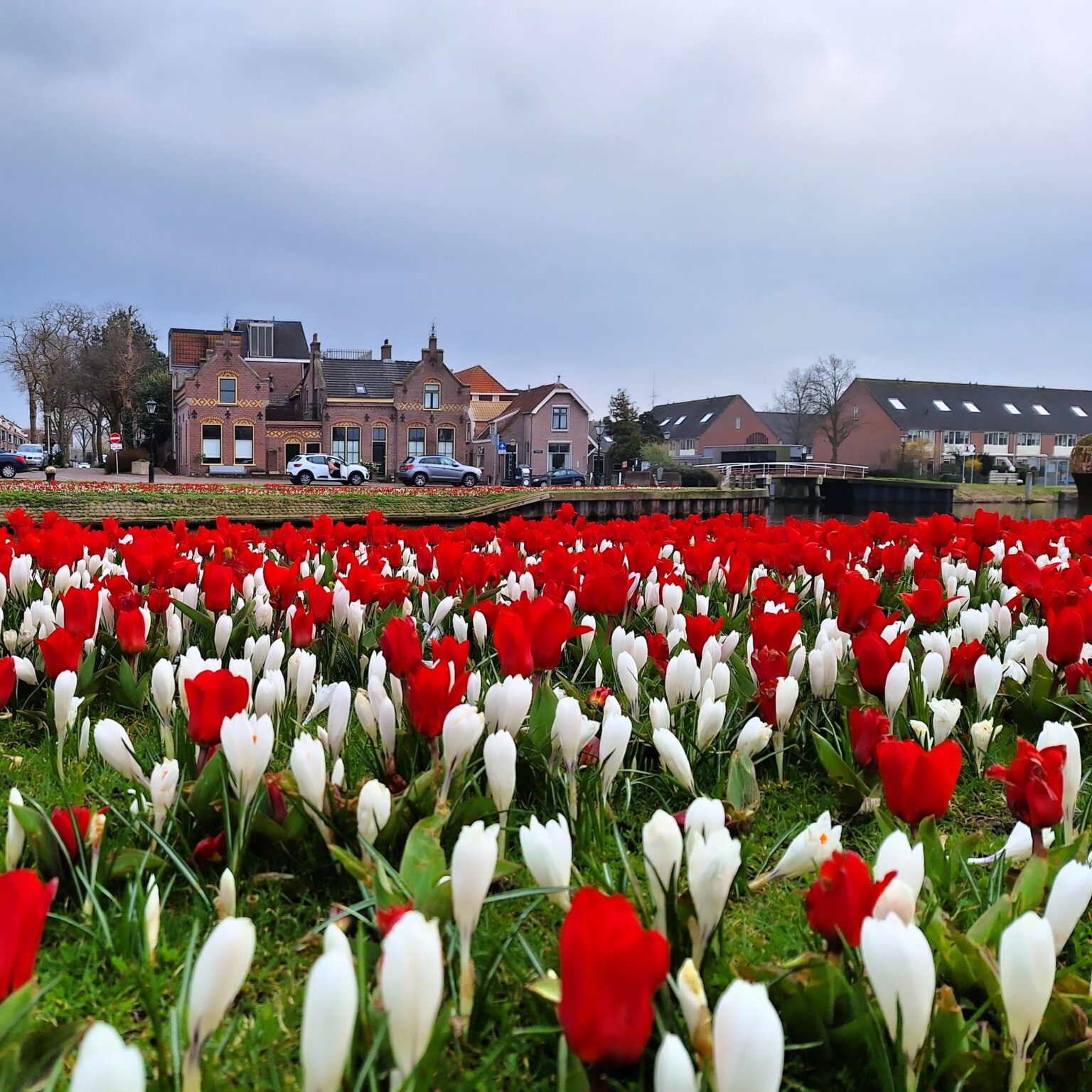 Frühling in den Niederlanden – Alkmaar🌷