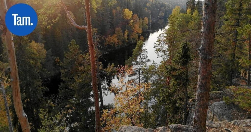 Von Tampere aus gibt es Busse zu den Nationalparks