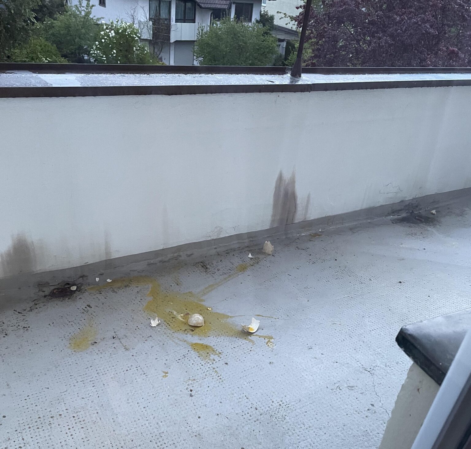 Mein Nachbar hat ein rohes Ei auf meinen Balkon geworfen Mein Nachbar hat ein rohes Ei auf meinen Balkon geworfen