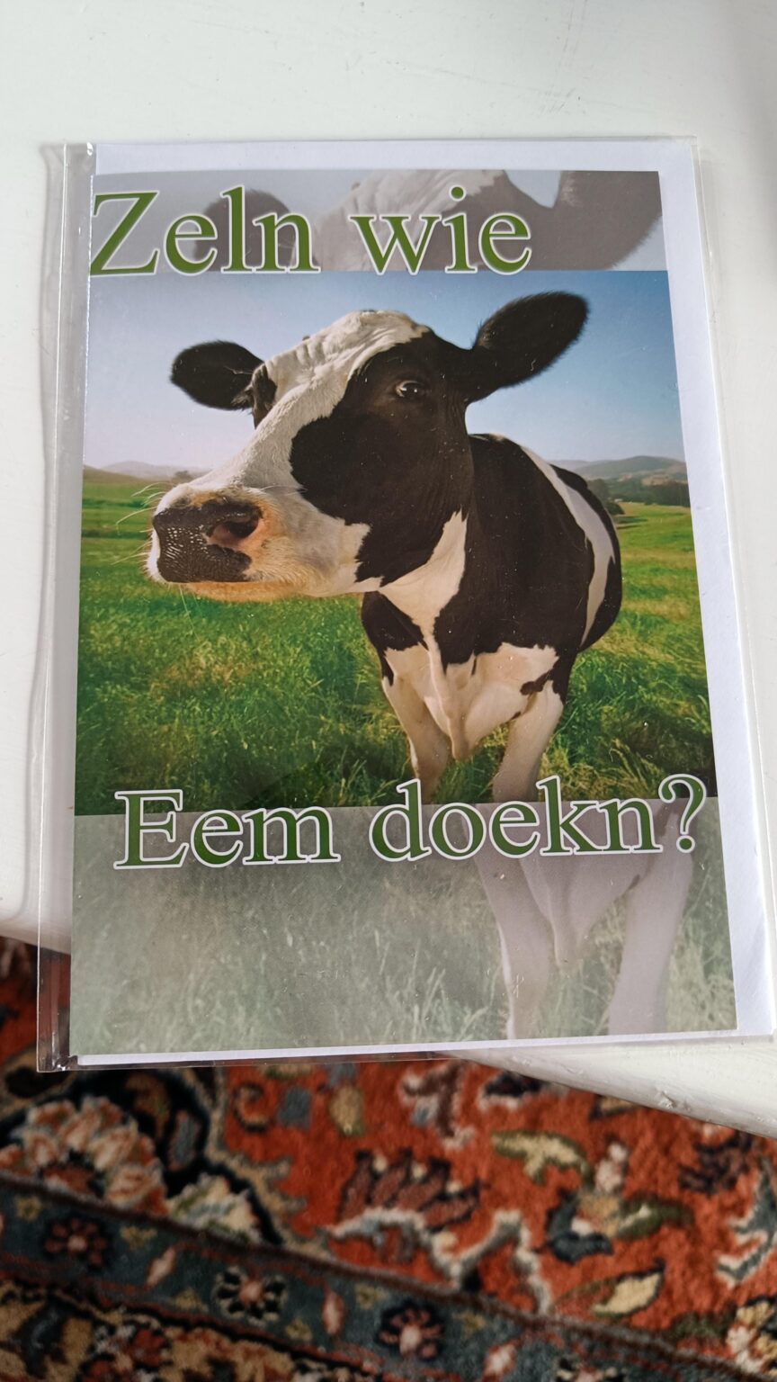 Wer kann mir das aus Groningen übersetzen?