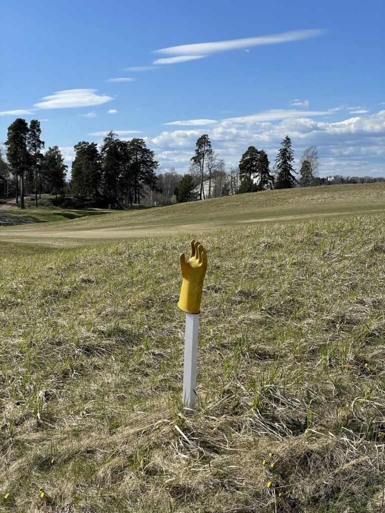 Letztes Kapitel: Ein Herausforderer hat den Thron usurpiert.  Aus den Überresten der Gefallenen wachsen Blumen.  Möge eine Welle meteorologischen Wohlwollens das Land erobern! [One Glove zealots must report to Kouvola for mandatory re-education] Habt alle einen wundervollen Frühling :)