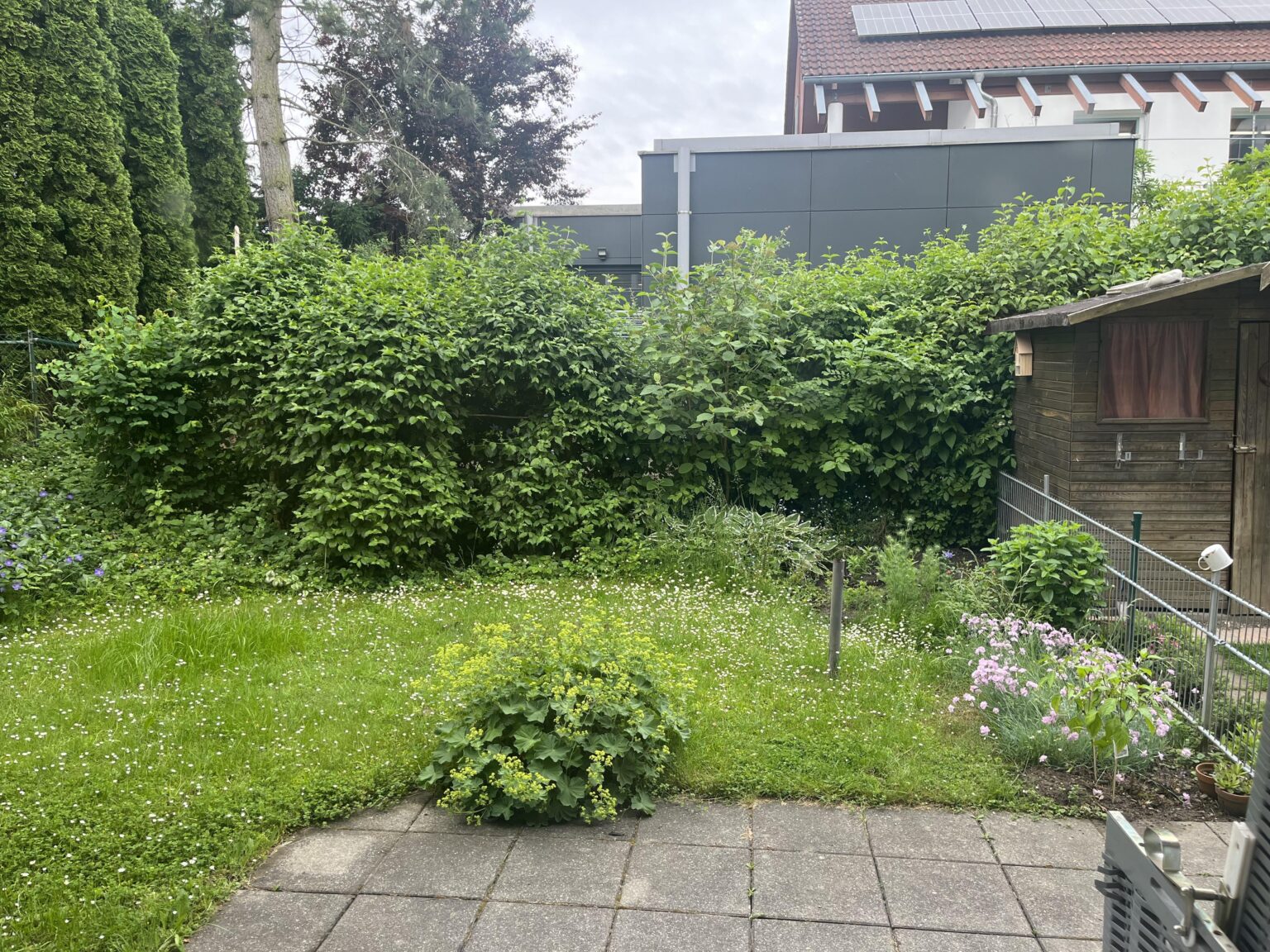 Halten Sie einen Rasen wie diesen für akzeptabel? Halten Sie einen Rasen wie diesen für akzeptabel?