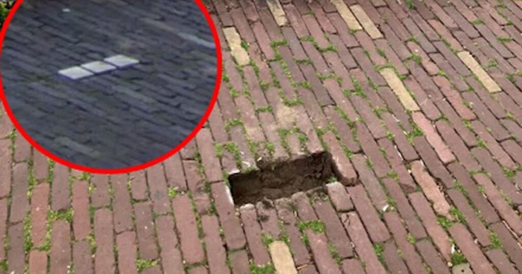 Drei Dordrechter Stolpersteine vom Bürgersteig gestemmt: „Das ist noch nie passiert“ Drei Dordrechter Stolpersteine vom Bürgersteig gestemmt: „Das ist noch nie passiert“