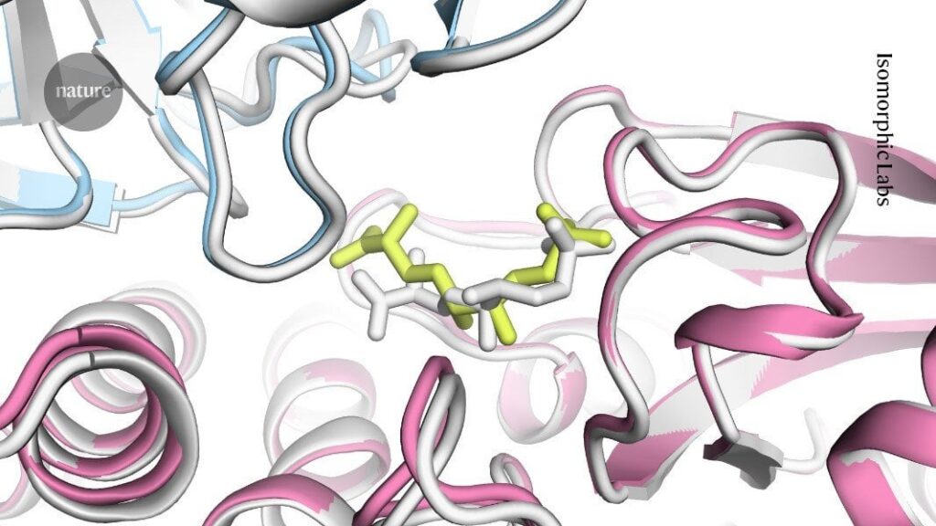 Großes AlphaFold-Upgrade bietet Auftrieb für die Arzneimittelforschung. Die neueste Version der KI modelliert, wie Proteine mit anderen Molekülen interagieren – DeepMind schränkt jedoch den Zugriff auf das Tool ein. Großes AlphaFold-Upgrade bietet Auftrieb für die Arzneimittelforschung. Die neueste Version der KI modelliert, wie Proteine mit anderen Molekülen interagieren – DeepMind schränkt jedoch den Zugriff auf das Tool ein.