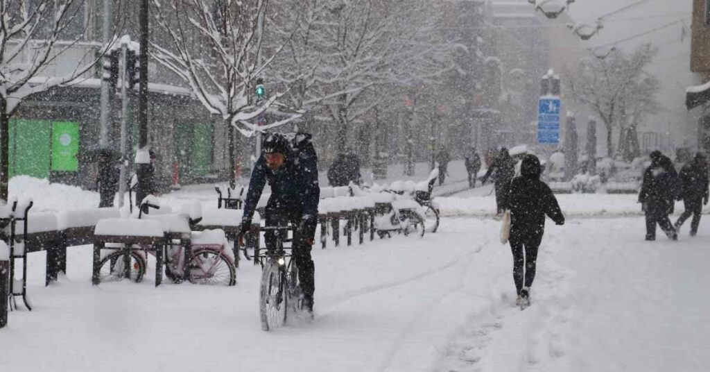 Finnlands 50 °C-Frühling schwankt zwischen ungewöhnlicher Hitze und beißender Kälte |  Yle-Nachrichten |  Yle