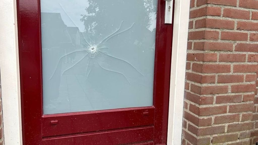 Beamter schießt bei Festnahme eines verwirrten Mannes auf Polizeihund