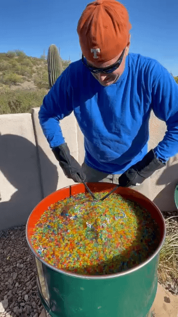 Niemand: Die Amerikaner machen Paella: