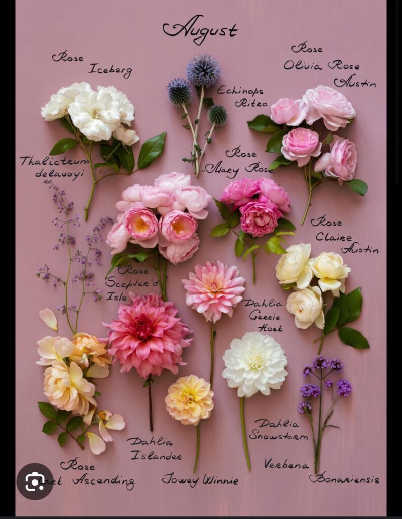 Blumenversandgeschäft