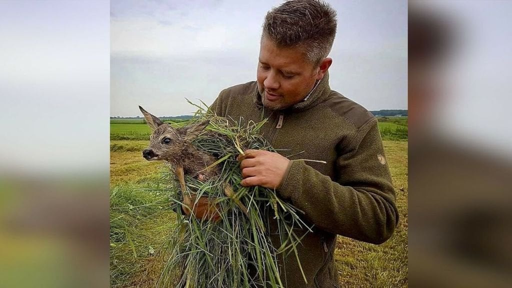 Jäger aus Drenthe helfen, Kitze vor Mähmaschinen zu schützen