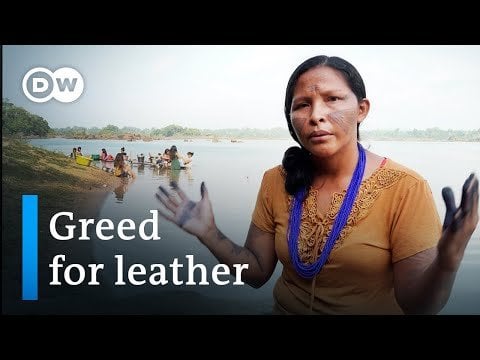 BMW-Leder wird mit illegaler Abholzung im Amazonasgebiet in Verbindung gebracht