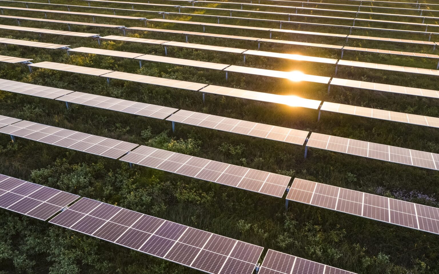 BP investiert 365 Millionen Euro in riesiges portugiesisches Solarprojekt