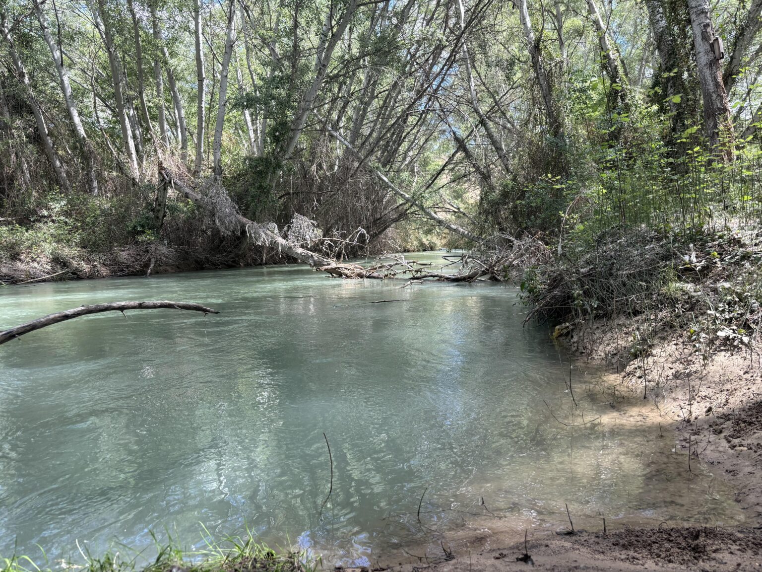 Der Fluss Segura fließt durch Calasparra in Murcia, in der Gegend, die als „Waldgalerie“ oder Cañaverosa bekannt ist.