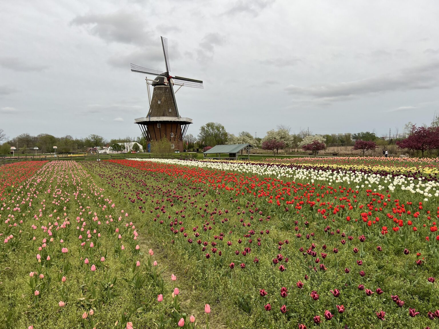 Holland Michigan