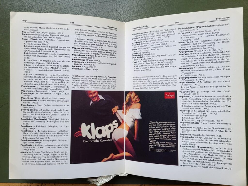 Die deutschen Wörterbücher der 1980er Jahre hatten gewisse Neigungen Die deutschen Wörterbücher der 1980er Jahre hatten gewisse Neigungen