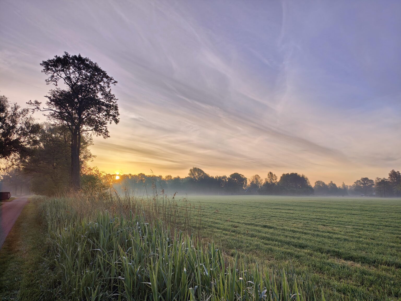 Guten Morgen aus Twente