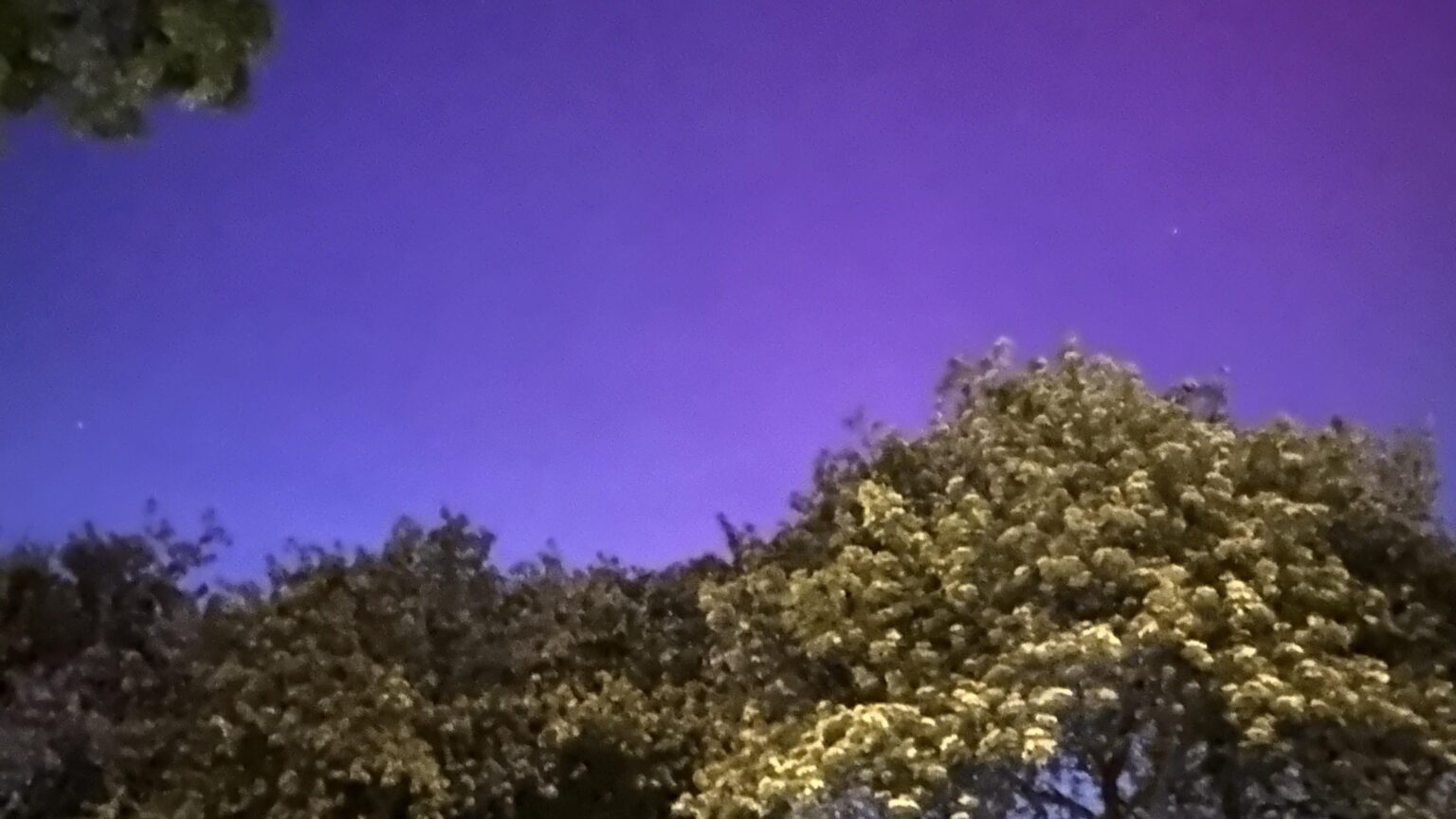 Habe gerade das Nordlicht in Arnheim Süd gesehen!
