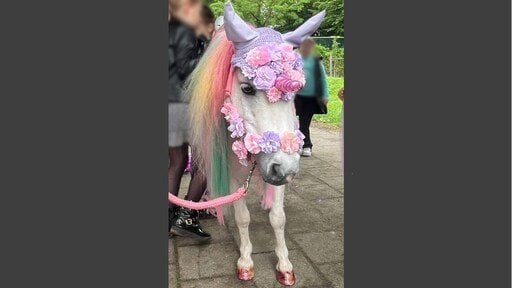 Als Einhörner verkleidete Ponys auf einer Party: beliebt bei Kindern, aber „besorgniserregende Entwicklung“