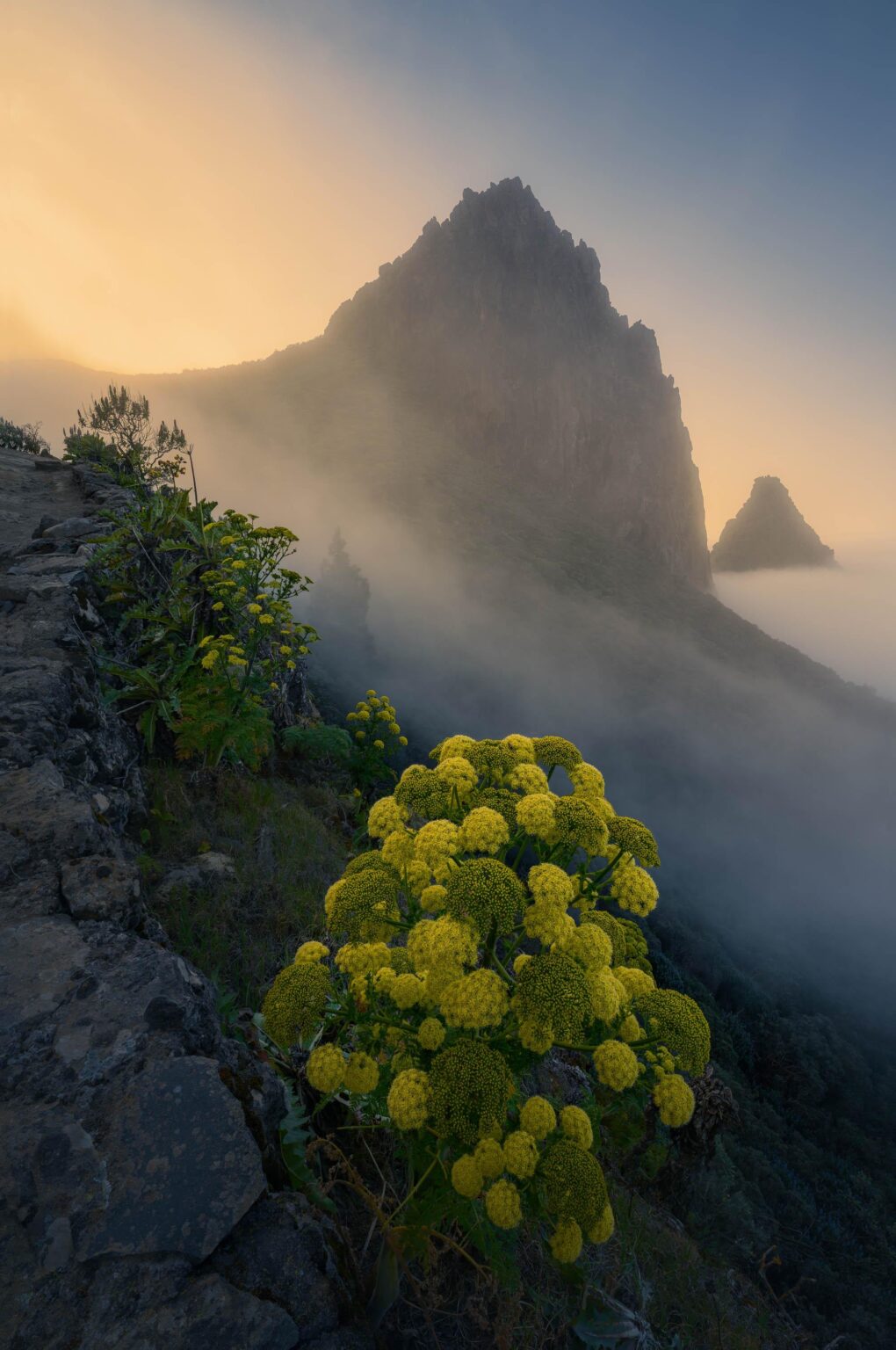 Nebliger Sonnenuntergang hoch oben in den Bergen von Gran Canaria [OC]