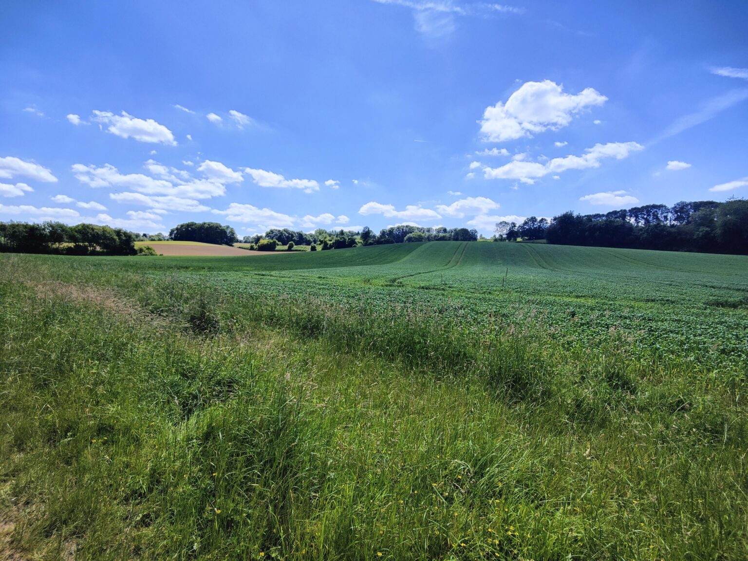 Letzten Sonntag habe ich eine kleine Wanderung in der Nähe von Margraten gemacht. Wie ich unsere kleinen Hügel liebe.