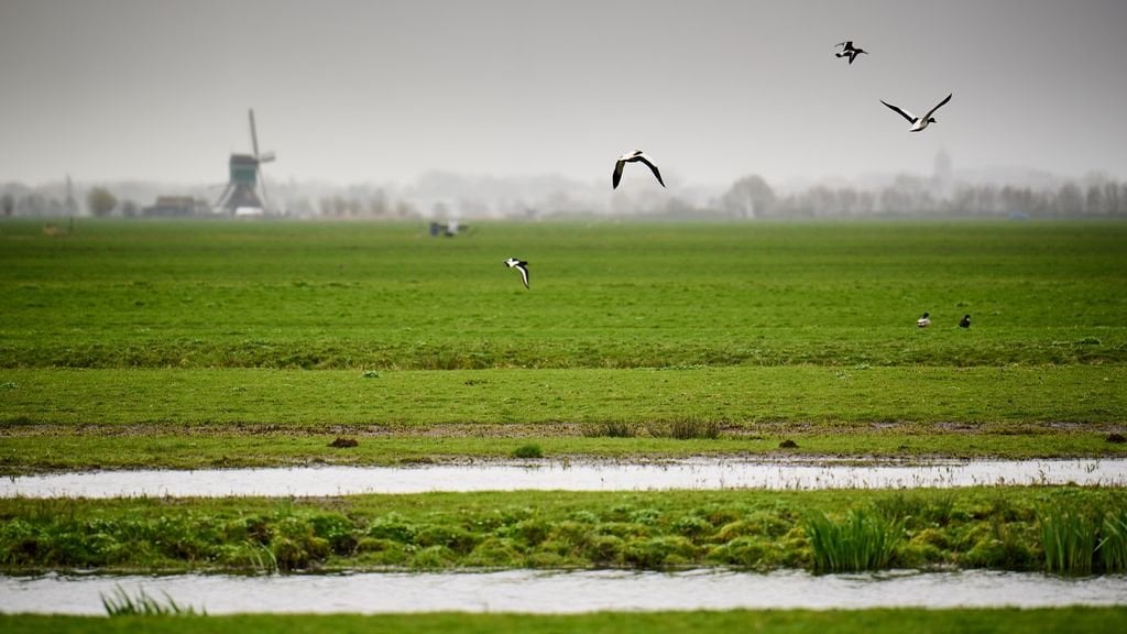 Umstrittenes europäisches Naturschutzgesetz wurde nach langer Zeit verabschiedet