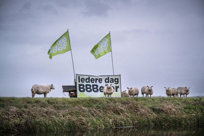 Die niederländische Naturpolitik gleicht eher einer vorsätzlichen Sabotage