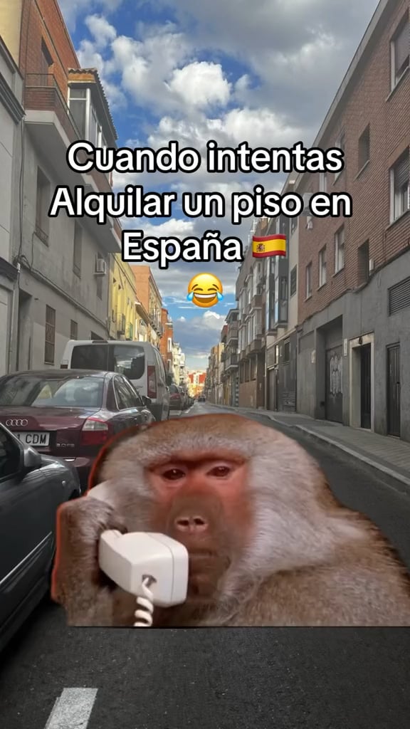 Alquilar in Spanien ist wie: